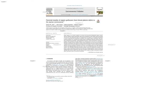 Potential transfer of organic pollutants from littoral plastics debris to the marine environment*